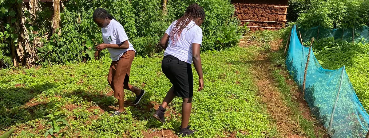 Tending a kitchen garden for Kemunto by Action Smiles members