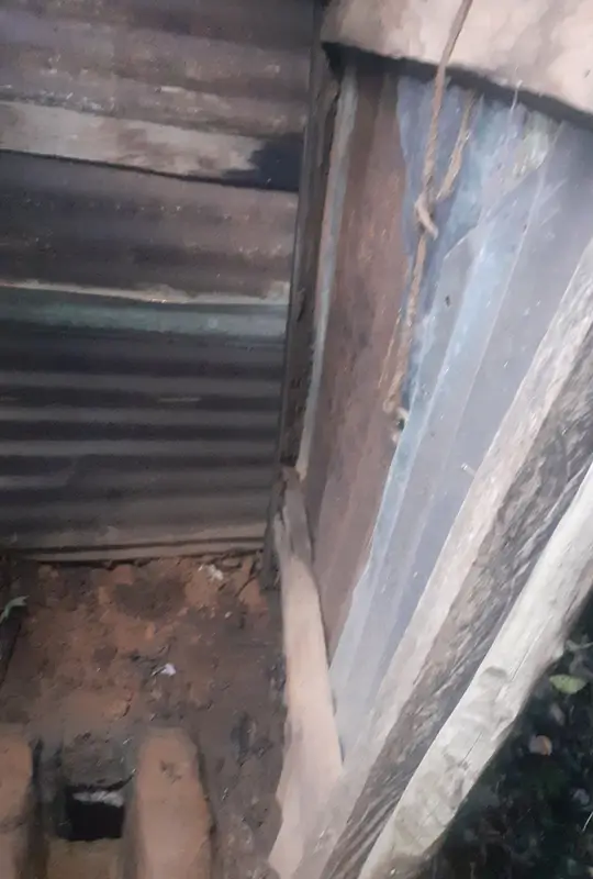 Priscilla's loo support